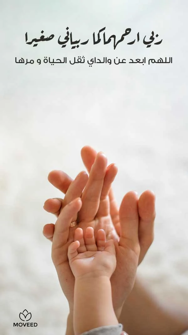 ربي أرحم أمي وأبي ربي أرحم أمي وأبي